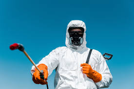 Best Termite Inspection and Treatment  in Orwigsburg, PA